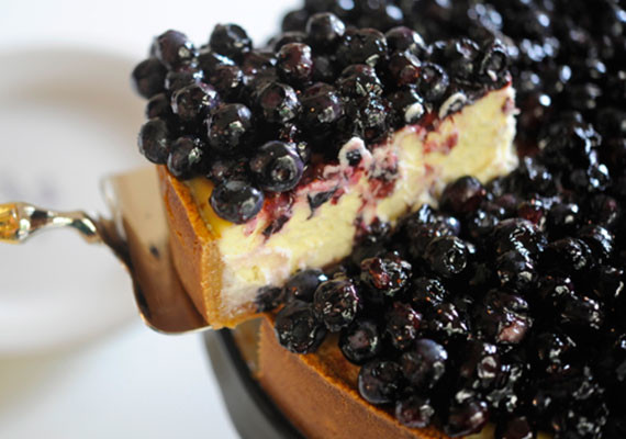 Best Blueberry Cheesecake Recipe Best Blueberry Cheesecake Recipe