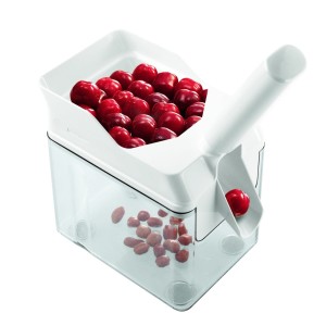 Cherrymat Cherrystone Remover