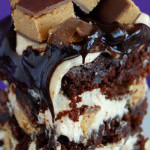 Peanut Butter Cup Cake