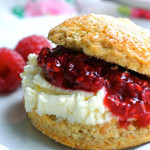 Raspberry Shortcake