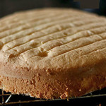 Basic Sponge Cake Recipe