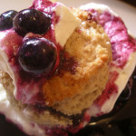 Blueberry Shortcake